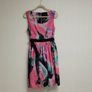 Adolfo Dominguez colorful sleeveless fit and flare dress sz 6.